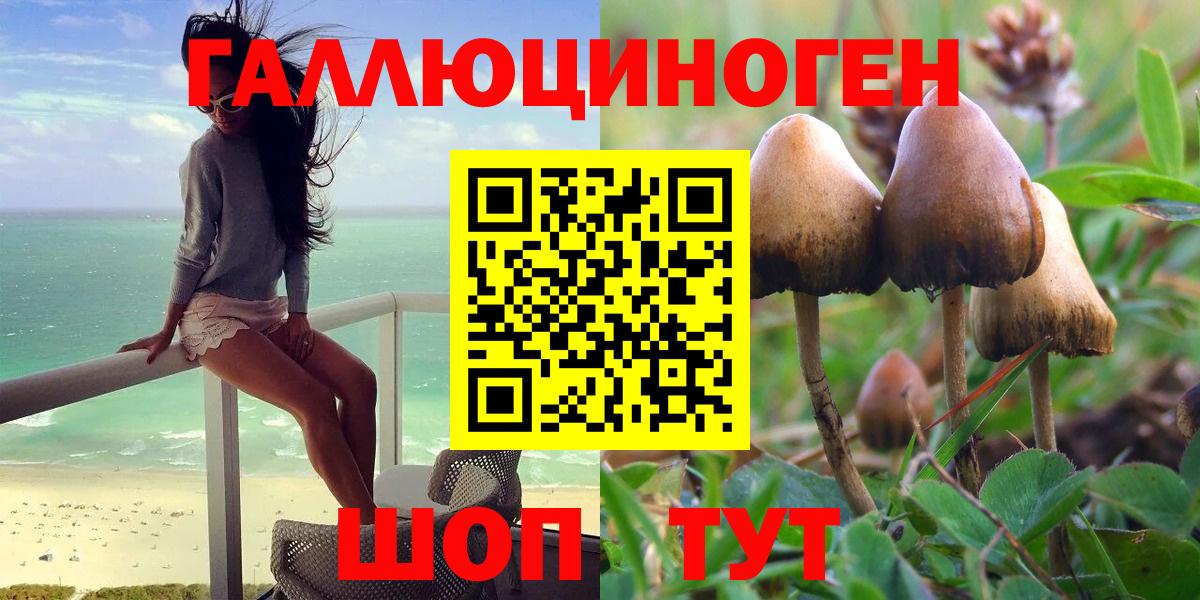 Галлюциногенные грибы мухоморы Сунжа